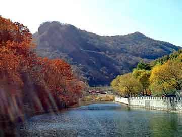 新澳天天开奖资料大全旅游团，樱花吸油烟机价格